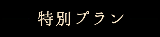 特別プラン
