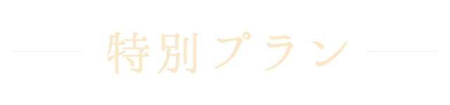 特別プラン